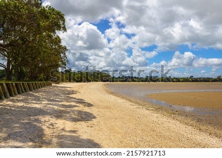 Landscape Scenery of Awhitu Regional Park; Kauritutahi Beach; Auckland New Zealand