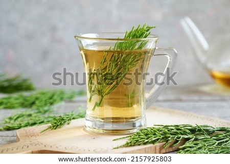 Fresh horsetail or Equisetum arvense twigs in a cup of herbal tea  Royalty-Free Stock Photo #2157925803