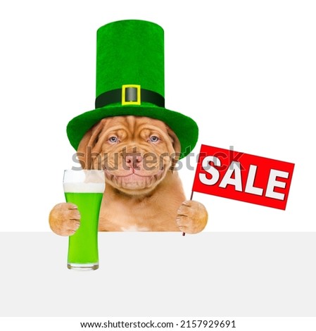 St. Patricks Day. Funny puppy wearing hat of the leprechaun looks above empty white banner, holds green beer and shows sales symbol. isolated on white background