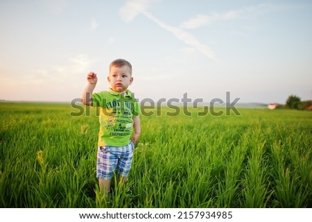 Cute boy in green grass field at evening.
