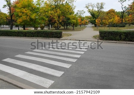 Road with zebra crossing near city park Royalty-Free Stock Photo #2157942109