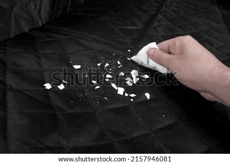 Car cover for animals in white background. Royalty-Free Stock Photo #2157946081