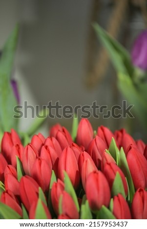 Flower composition. Beautiful colorful spring flowers. mixed flower bouquet