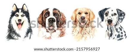 Set of watercolor portraits of 4 dog breeds Siberian Husky, Saint Bernard, Golden Retriever and Dalmatian. Dog drawing head clipping path isolated on white background.