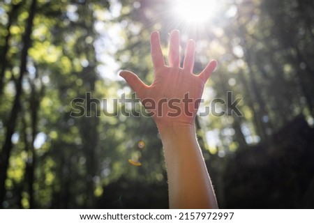 Faceless picture, man's hand covering sunlight,l sun shiing through hand, image of human's hand covering sun, bright rays of sun, isolated over park or forest background. Nature concept.
