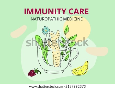 Vector digital medical image. Immunity care. Naturopathic medicine. Herbal tea, ginger root, lemon, raspberry, mug. Eps hand drawn horizontal poster, banner. Royalty-Free Stock Photo #2157992373