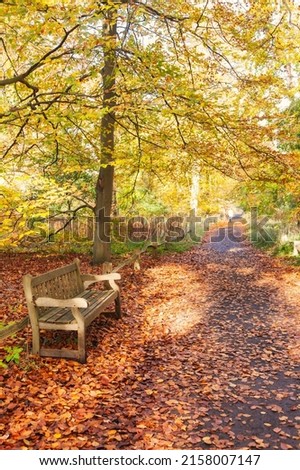 Autumn park alley with wooden bench in the Royal Botanic Gardens, London, UK Royalty-Free Stock Photo #2158007147