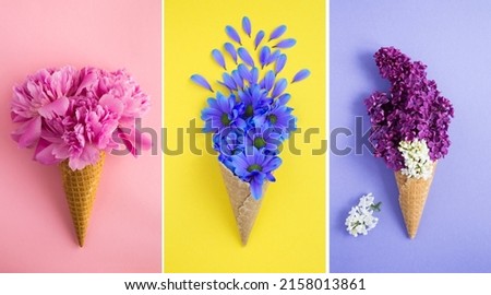 Collage of ice cream cone with flowers on the colored  background.  Spring and summer flowers concept.