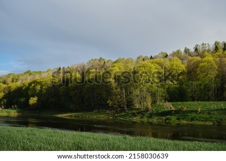 Landscape of Kaluga region, Ugra National Park. Nature of Russia. Mixed forest in summer at sunset on warm evening. River, clearing and beautiful dense forest are illuminated by sunlight. Royalty-Free Stock Photo #2158030639