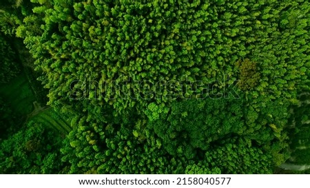 Green natural forest aerial view. Environment concept. Royalty-Free Stock Photo #2158040577