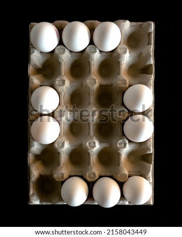 A flat lay of white eggs egg cartoon