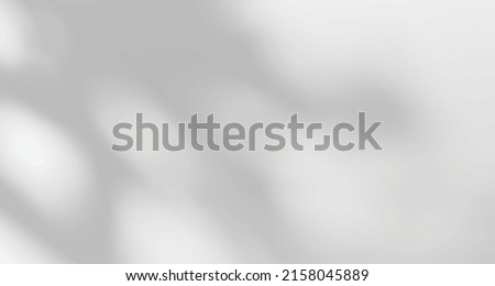 Realistic blurred natural light leaves, palm and window shadow overlay on wall paper or frames texture, abstract background, summer, spring, autumn for product presentation podium and mockup seasonal Royalty-Free Stock Photo #2158045889