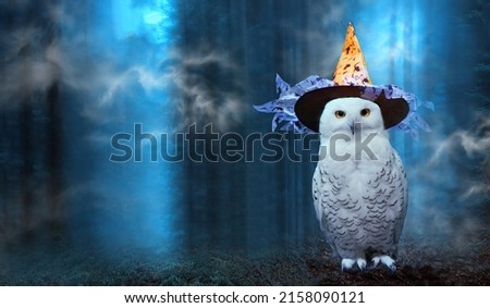 Funny polar owl in wizard hat sits on moss-covered ground on magic dark forest background with mystery smoke and moon. Arctic white owl with yellow eyes close up. Halloween celebration concept
