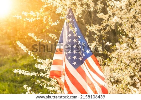 flag of America on the background of a flowering tree. Politics, learning a foreign language. July 4. Memorial Day