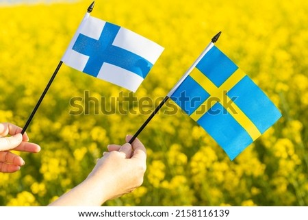 A woman holds the flags of Finland and Sweden in her hands, the Concept of the Alliance and the alliance of both Scandinavian countries
