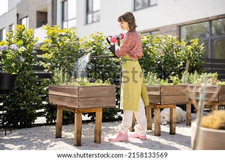 Woman watering fresh herbs growing at home vegetable garden. Gardener taking care of plants at the backyard of her house. Concept of sustainability and growing organic Royalty-Free Stock Photo #2158133569