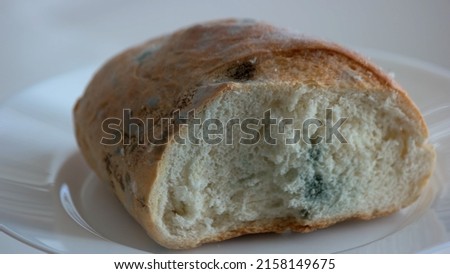 Close up piece of bread covered with mold. Damaged bread with fungus. Spoiled food concept. Royalty-Free Stock Photo #2158149675