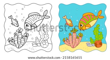 Marine background. Coloring book or Coloring page for kids. Fish vector illustration clipart