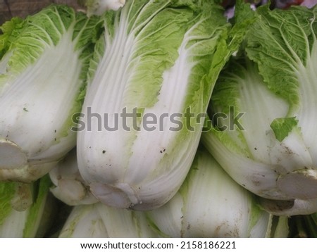 Group of Chinese cabbages on sale