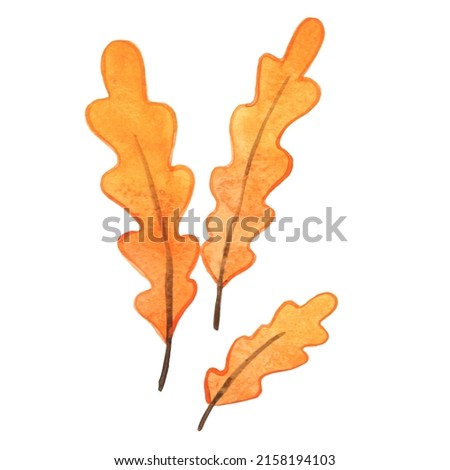 Bunch of Autumn yellow leaves watercolor for decoration on Autumn seasonal and Thanksgiving festival.
