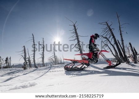 Rider on a winter motorcycle snowbike in a dry winter forest, sunny day
