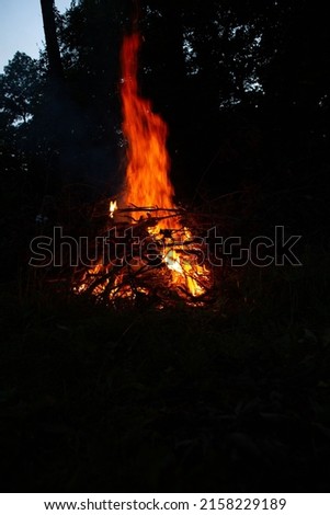 A vertical shot of a bonfire burning in the forest