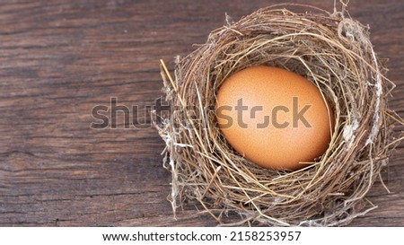 Fresh eggs from an organic farm. Chicken eggs in nests made of straw and hay, which are natural hens' nests, and in the morning light. Chicken eggs are a staple for cooking a variety of dishes.