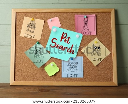 Papers with pictures of different cats and dogs pinned to notice board. Pet search