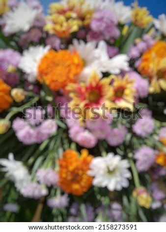 Defocused Abstract Background of Colorful Flower