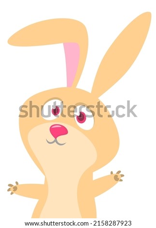 Funny bunny rabbit cartoon. Vector rabbit  illustration isolated

