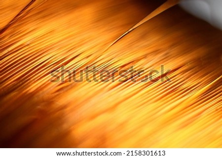 a coil of copper wire on a black background