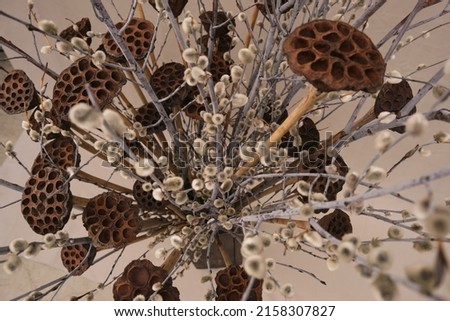 bouquet of dried flowers in beige tones close-up