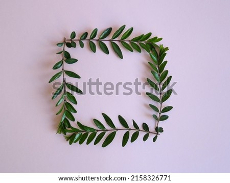 Creative frame made of natural green leaves on pink background. Minimal spring concept. Creative spring idea. Flowers frame. Flat lay. Copy space. Mock up.