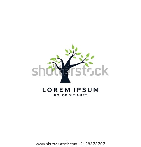 Living tree logo design, using vector concept.