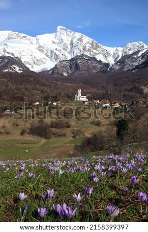 Church Of The Sacred Heart In Dreznica - Kobarid in Springtime with Flowers and Snow