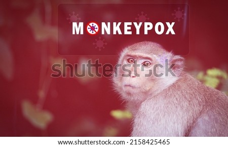 Monkeypox outbreak concept. Monkeypox is caused by monkeypox virus. Monkeypox is a viral zoonotic disease. Virus transmitted to humans from animals. Monkeys may harbor the virus and infect people. Royalty-Free Stock Photo #2158425465