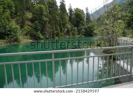 A scenic view of a bridge over the river in the green forest with lush nature on a sunny day