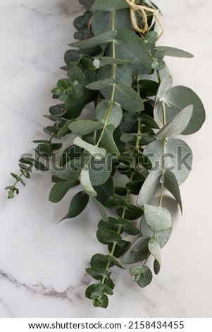 Elegant eucalyptus background . Floral backround .  Royalty-Free Stock Photo #2158434455