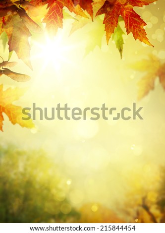 autumn leaves backgrounds; Colorful foliage in the autumn park 