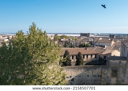 The aerial panoramic view of the medieval city of Aigues-Mortes and the Etang de la Ville, in petite Camargue, in the Gard department in the Occitanie region of southern France