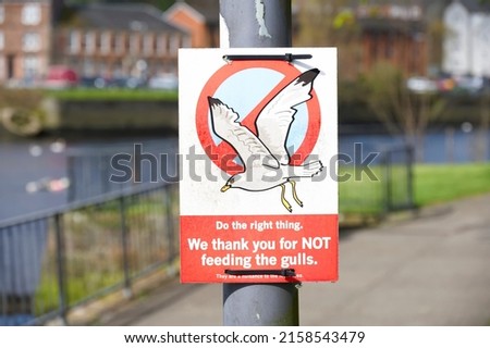 Do not feed seagulls sign at esplanade waterfront