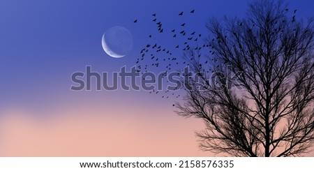 Early morning sunrise glowing crescent moon. Silhouette of tree branches and flying flock of birds