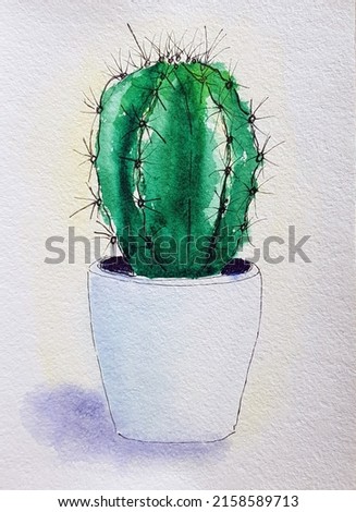 Hand-drawn watercolor.  A beautiful green Hand-drawn watercolor isolated on a white background. A beautiful green cactus in a white pot.