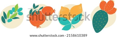 Set of separate Mediterranean fruit icons Royalty-Free Stock Photo #2158610389