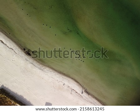 An aerial view of a Baltic Sea coastline in Germany