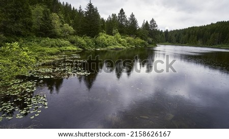 Stunning view of a wilderness lake on a rainy day  Green trees along the shoreline reflected in the moody grey water   Rocks visible in the water 