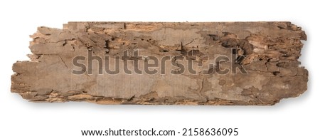 piece of rotten old wood plank, termites, weathered and decayed timber signpost isolated on white background