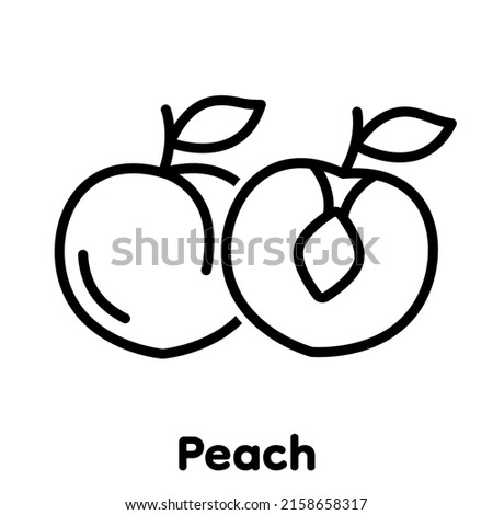 Peach linear icon, Vector, Illustration.
