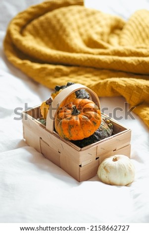 A closeup shot of small pumpkins in the basket near the orange blanket on the white sheet