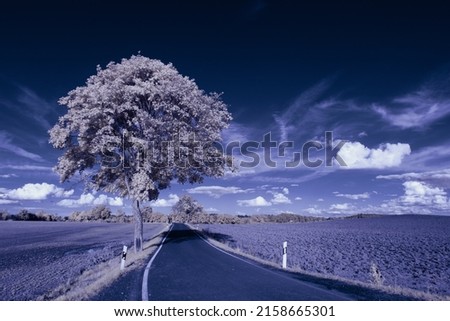 A beautiful view of a landscape with trees, road and field covered with snow